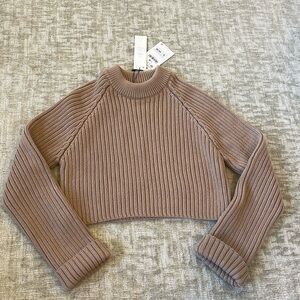 Zara Brown Cropped Sweater